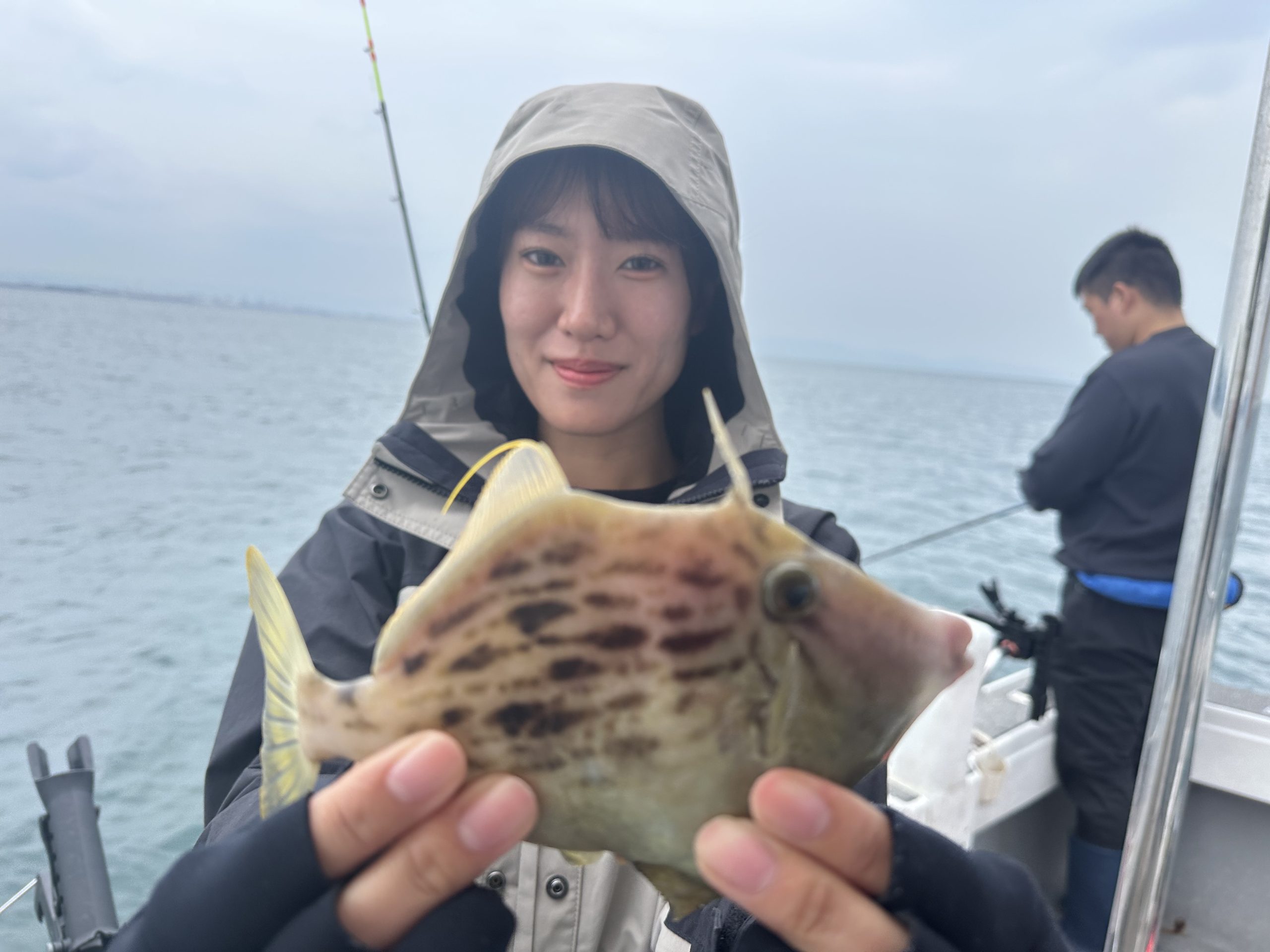 激レア　北九州　帆柱山から若戸大橋　激レアハガキ　プレミア 激レア 北九州 帆柱山から若戸大橋 激レアハガキ プレミア